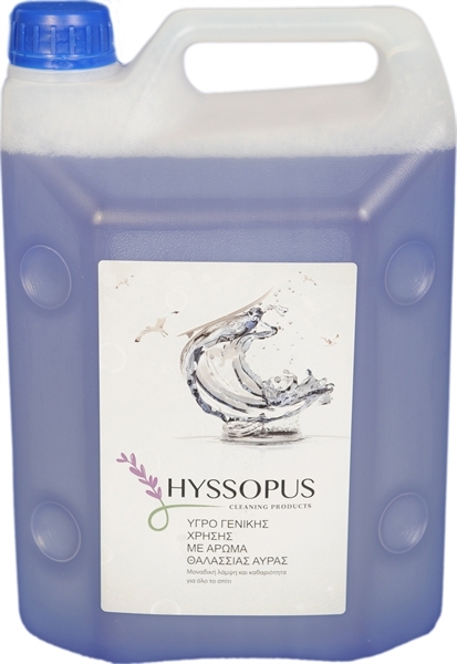 Εικόνα από Hyssopus Υγρό Γενικής Χρήσης με Άρωμα Θαλάσσιας Άύρας 4L