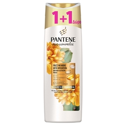 Εικόνα της Pantene Σαμπουάν Cactus Frizz No More  300ml (1+1 Δώρο)