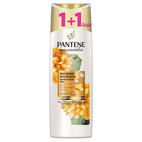 Εικόνα από Pantene Σαμπουάν Cactus Frizz No More  300ml (1+1 Δώρο)