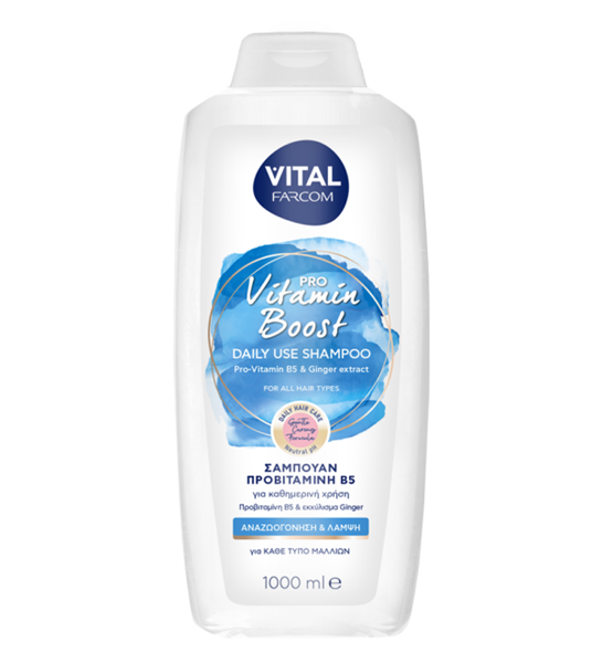 Εικόνα από Farcom Vital Pro Vitamin Boost με Προβιταμίνη Β5 1000ml