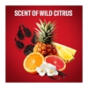 Εικόνα από Old Spice Shower Gel Wolfthorn 1000ml