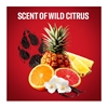 Εικόνα από Old Spice Shower Gel Wolfthorn 400ml