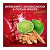 Εικόνα από Old Spice Captain Deo Spray 150ml+2-1 Shower Gel +Shampoo 250ml